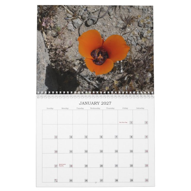 Desert Wildflowers Calander Calendar (Jan 2027)