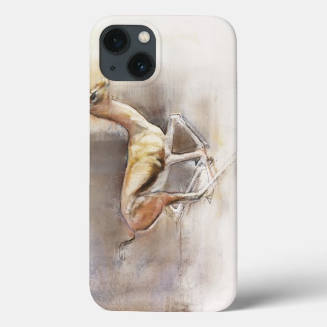 Desert Wind Case-Mate iPhone Case (Back)