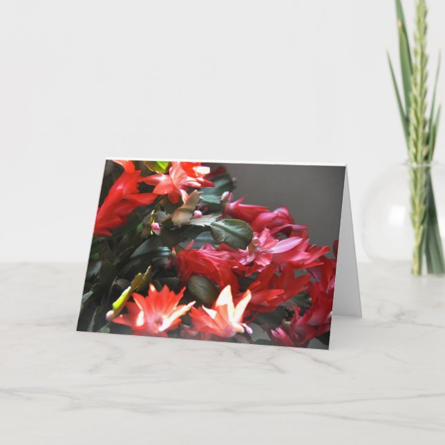 Desert Winter Too Holiday Card (Front)