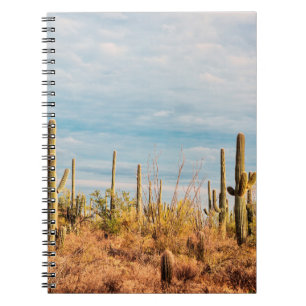 Desert with Saguaro cacti Notebook