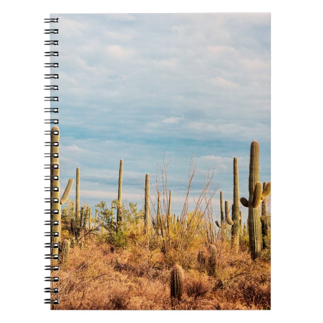 Desert with Saguaro cacti Notebook (Front)
