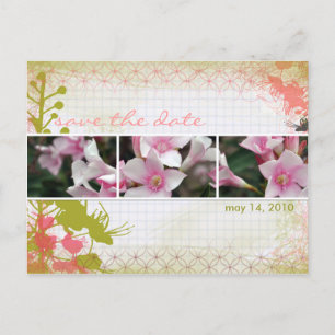 DesertBotanicals Postcard - graph floral