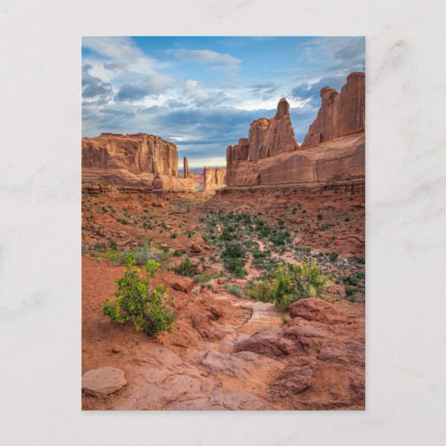 Deserts | Arches National Park, Utah Postcard (Front)
