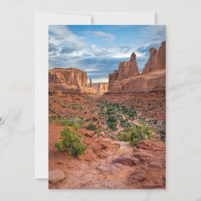 Deserts | Arches National Park, Utah Thank You Card (Front)
