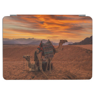 Deserts   Bactrian Camel Egypt Sand Dune iPad Air Cover