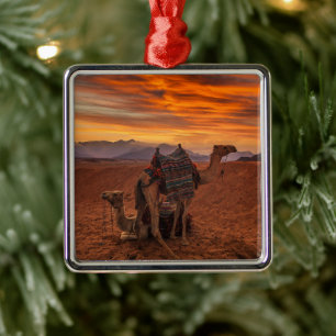 Deserts Bactrian Camel Egypt Sand Dune Metal Ornament