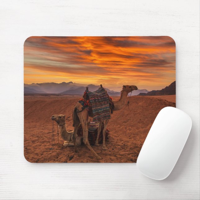 Deserts | Bactrian Camel Egypt Sand Dune Mouse Pad (With Mouse)