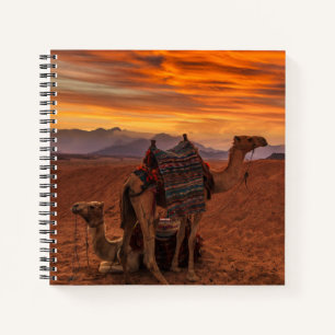 Deserts   Bactrian Camel Egypt Sand Dune Notebook