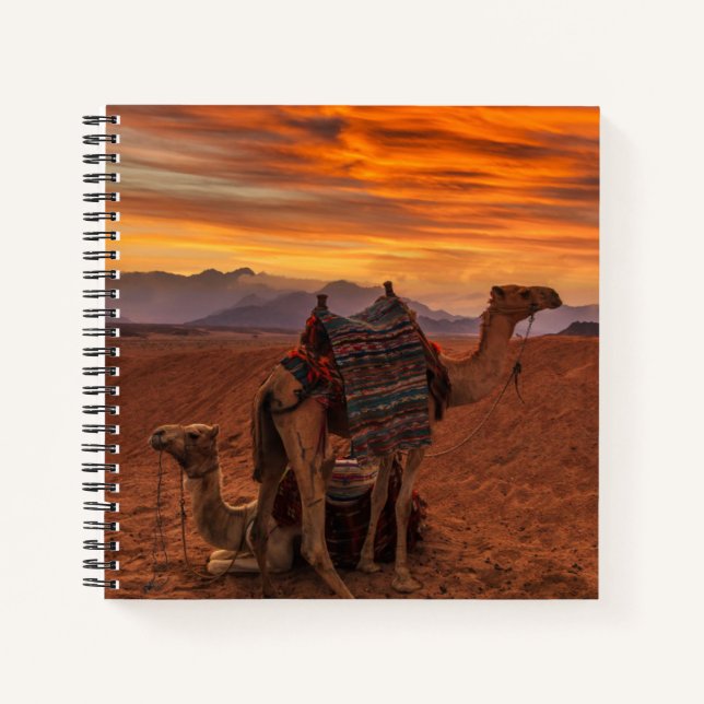 Deserts | Bactrian Camel Egypt Sand Dune Notebook (Front)