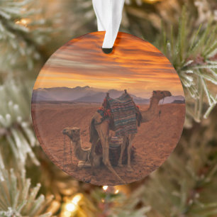 Deserts Bactrian Camel Egypt Sand Dune Ornament