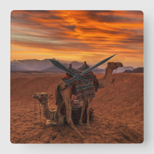 Deserts Bactrian Camel Egypt Sand Dune Square Wall Clock