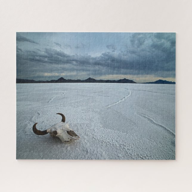 Deserts | Bonneville Salt Flats Utah Jigsaw Puzzle (Horizontal)