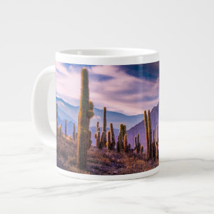 Deserts   Cactus Landscape Argentina Large Coffee Mug