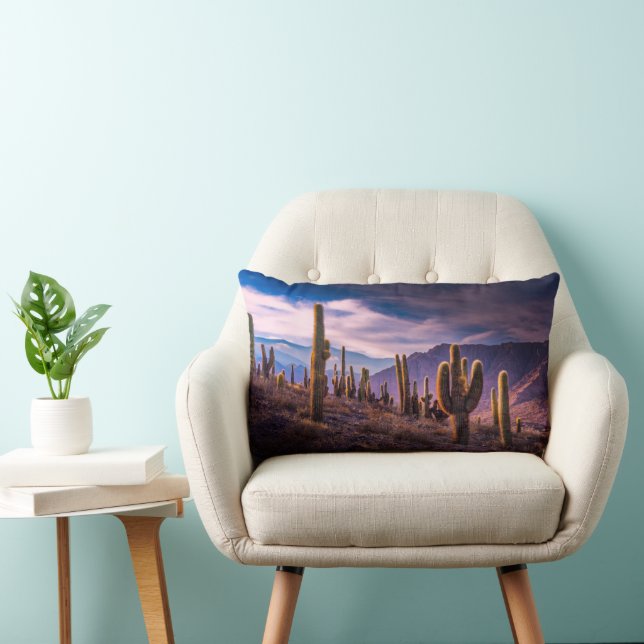 Deserts | Cactus Landscape Argentina Lumbar Cushion (Chair)
