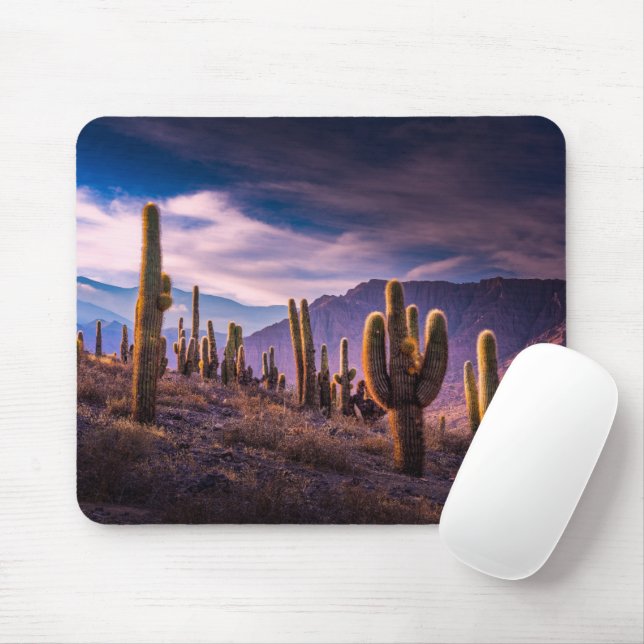 Deserts | Cactus Landscape Argentina Mouse Pad (With Mouse)