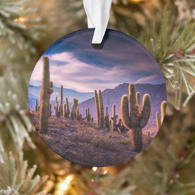 Deserts | Cactus Landscape Argentina Ornament (Tree)