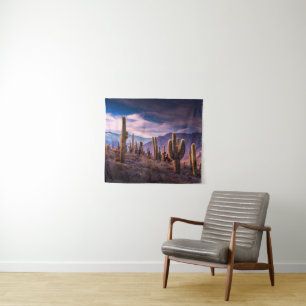 Deserts Cactus Landscape Argentina Tapestry