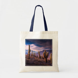 Deserts   Cactus Landscape Argentina Tote Bag