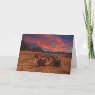 Deserts Camels Sinai Mountains Egypt Card