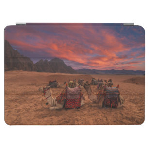 Deserts   Camels Sinai Mountains Egypt iPad Air Cover