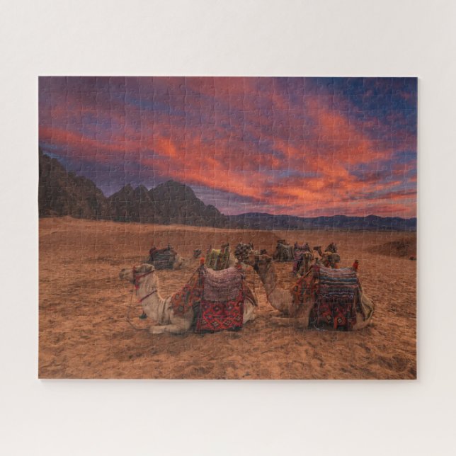 Deserts | Camels Sinai Mountains Egypt Jigsaw Puzzle (Horizontal)