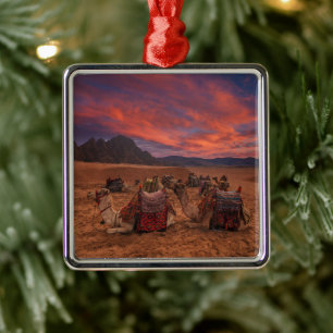 Deserts Camels Sinai Mountains Egypt Metal Ornament