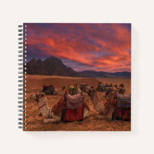 Deserts Camels Sinai Mountains Egypt Notebook