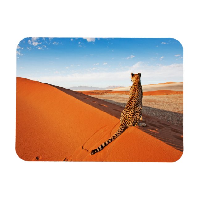 Deserts | Cheetah Savannah Desert Magnet (Horizontal)