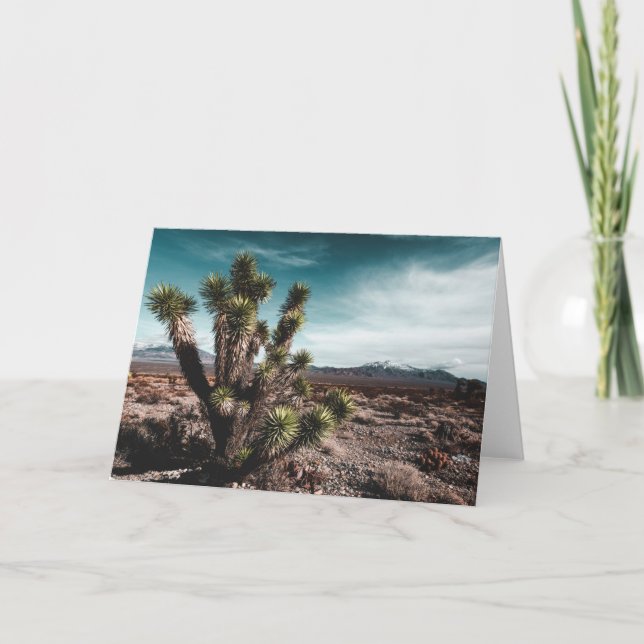 Deserts | Cholla Cactus Card (Front)