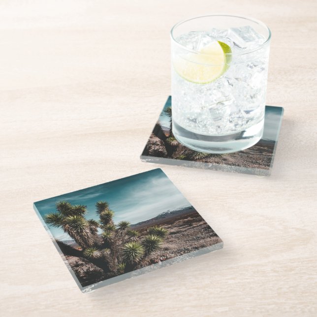 Deserts | Cholla Cactus Glass Coaster (Angled)