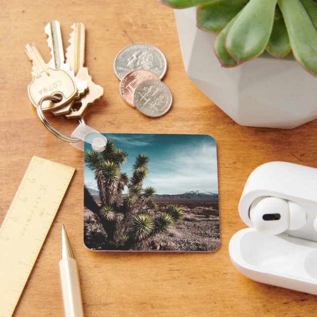Deserts | Cholla Cactus Key Ring (Desk)