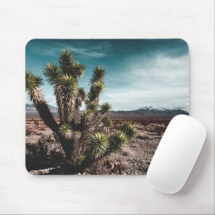 Deserts   Cholla Cactus Mouse Pad