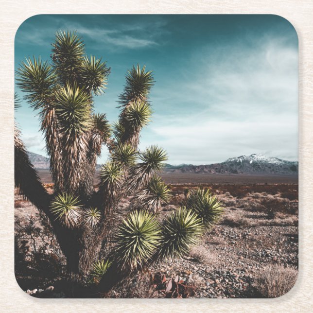 Deserts | Cholla Cactus Square Paper Coaster (Front)