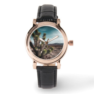 Deserts   Cholla Cactus Watch