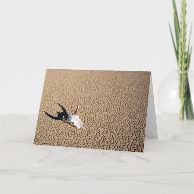 Deserts | Cow Skull on the Desert Ground Card (Front)