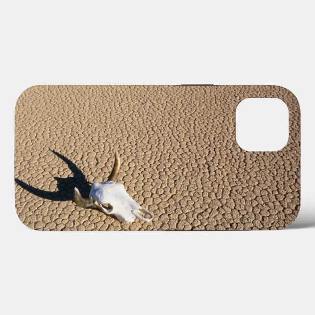Deserts | Cow Skull on the Desert Ground Case-Mate iPhone Case (Back (Horizontal))