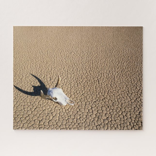 Deserts | Cow Skull on the Desert Ground Jigsaw Puzzle (Horizontal)