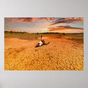 Deserts Desert with Cow Skull Poster