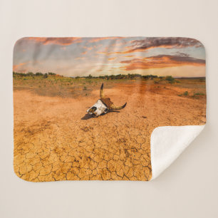 Deserts   Desert with Cow Skull Sherpa Blanket