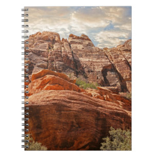 Deserts in the United States Desert Landscape phot Notebook