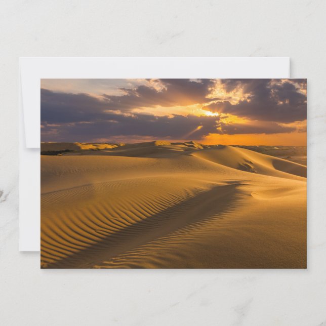 Deserts | Landscape of Sand Dunes Thank You Card (Front)