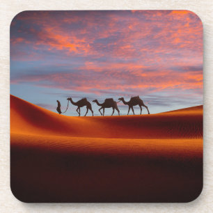 Deserts   Man & Camels in the Sand Dunes Coaster
