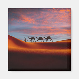 Deserts Man & Camels in the Sand Dunes Magnet