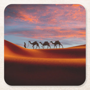 Deserts Man & Camels in the Sand Dunes Square Paper Coaster