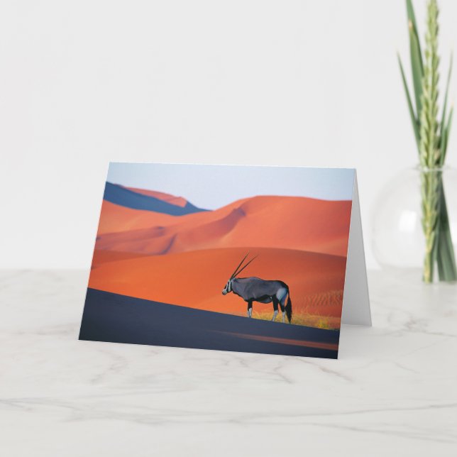 Deserts | Namib Desert Oryx Card (Front)