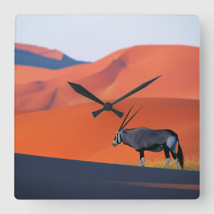 Deserts   Namib Desert Oryx Square Wall Clock