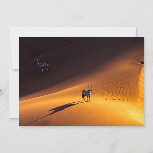 Deserts | Namib Naukluft National Park Kenya Thank You Card (Front)