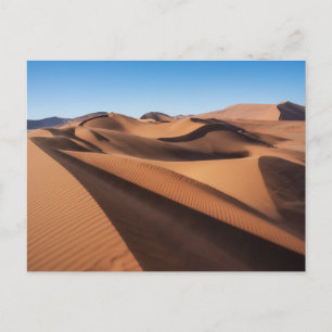 Deserts Namib Naukluft National Park Postcard