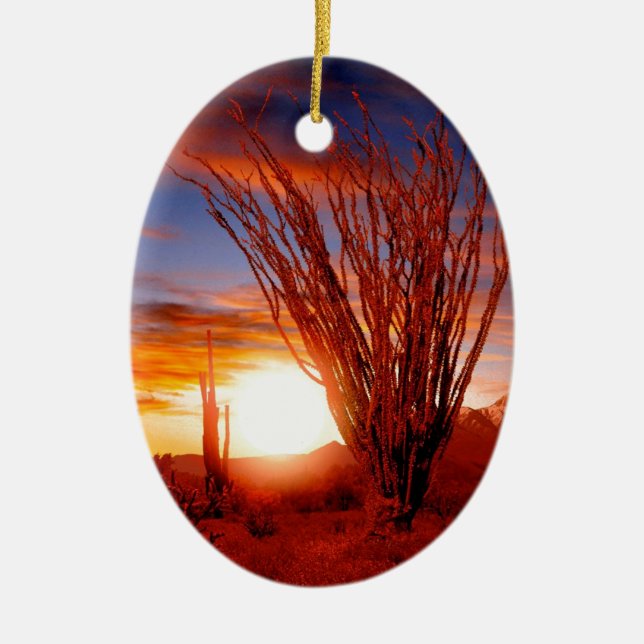 Deserts Ocotillo Sonora Arizona Ceramic Ornament (Front)