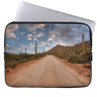 Deserts | Saguaro National Park Arizona